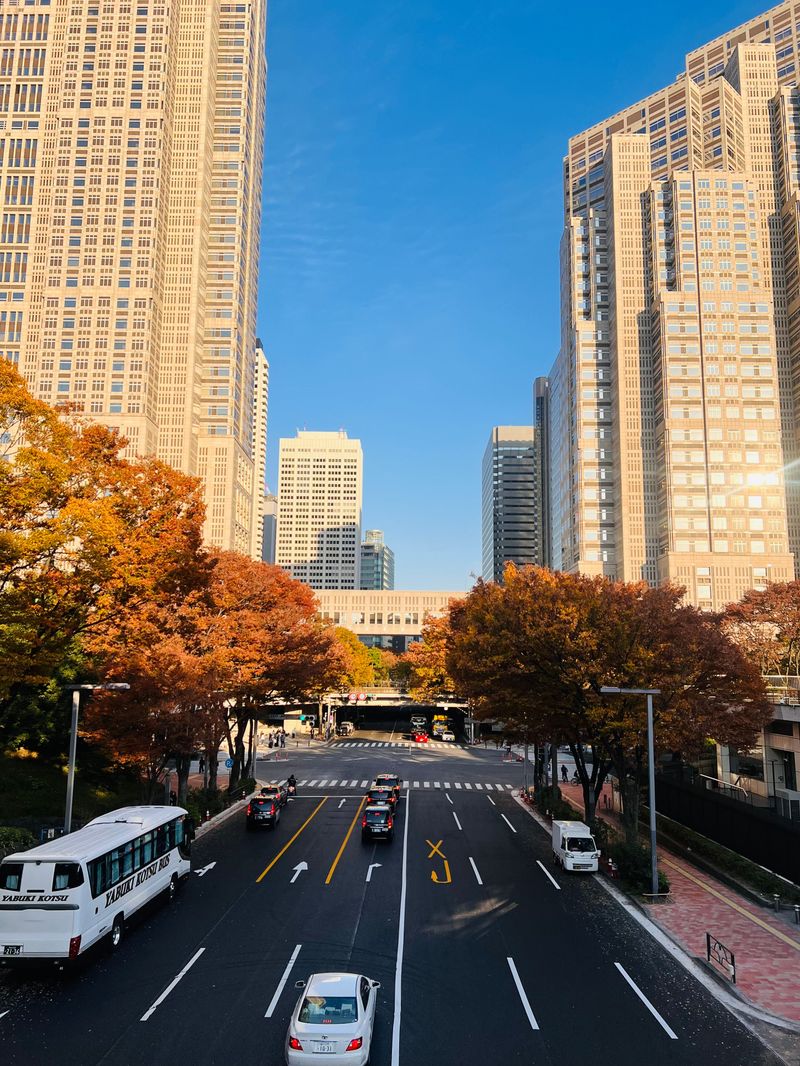 An autumn avenue running between tall city skyscrapers