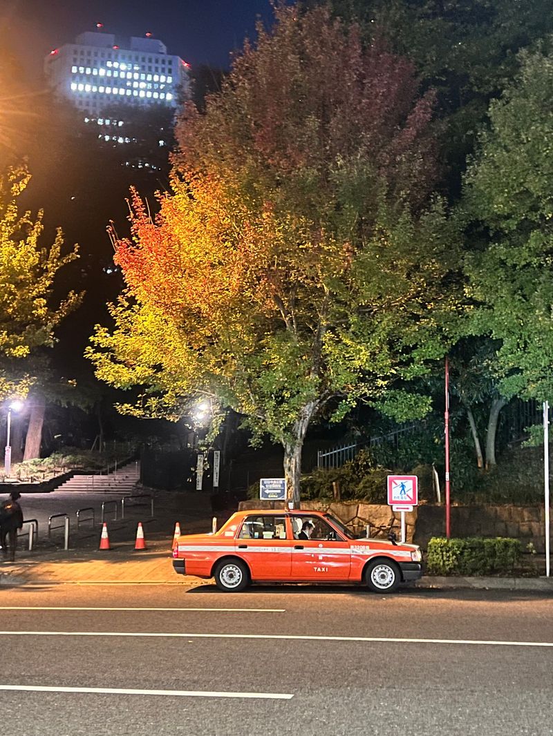 A red taxi passing beneath autumn trees at night
