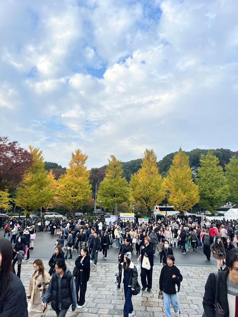 A crowd walking beneath trees in their autumn colors