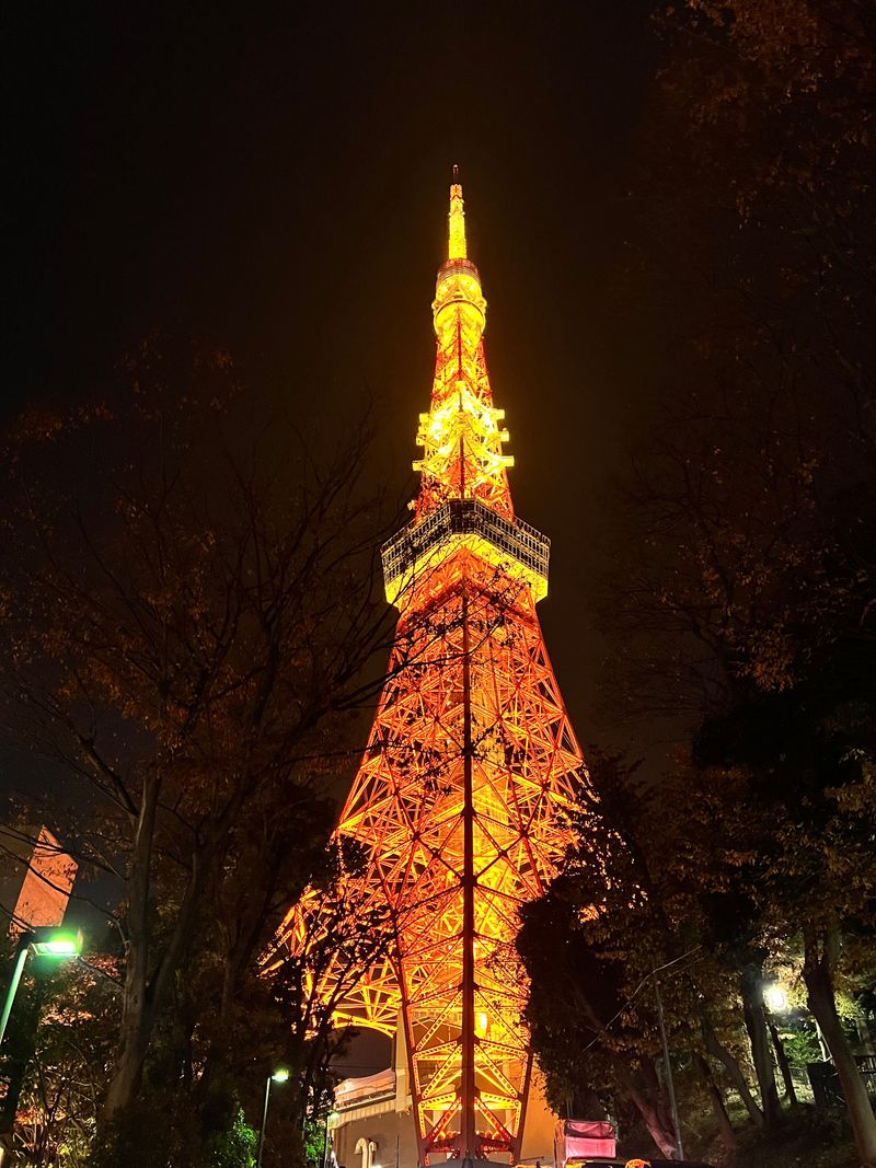 A close view of Tokyo Tower's orange lattice at night