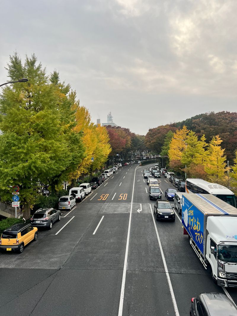 Taxis traveling along a tree-lined Tokyo road