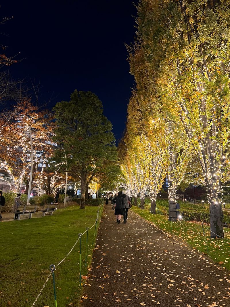 A quiet canal lined with glowing autumn trees at night